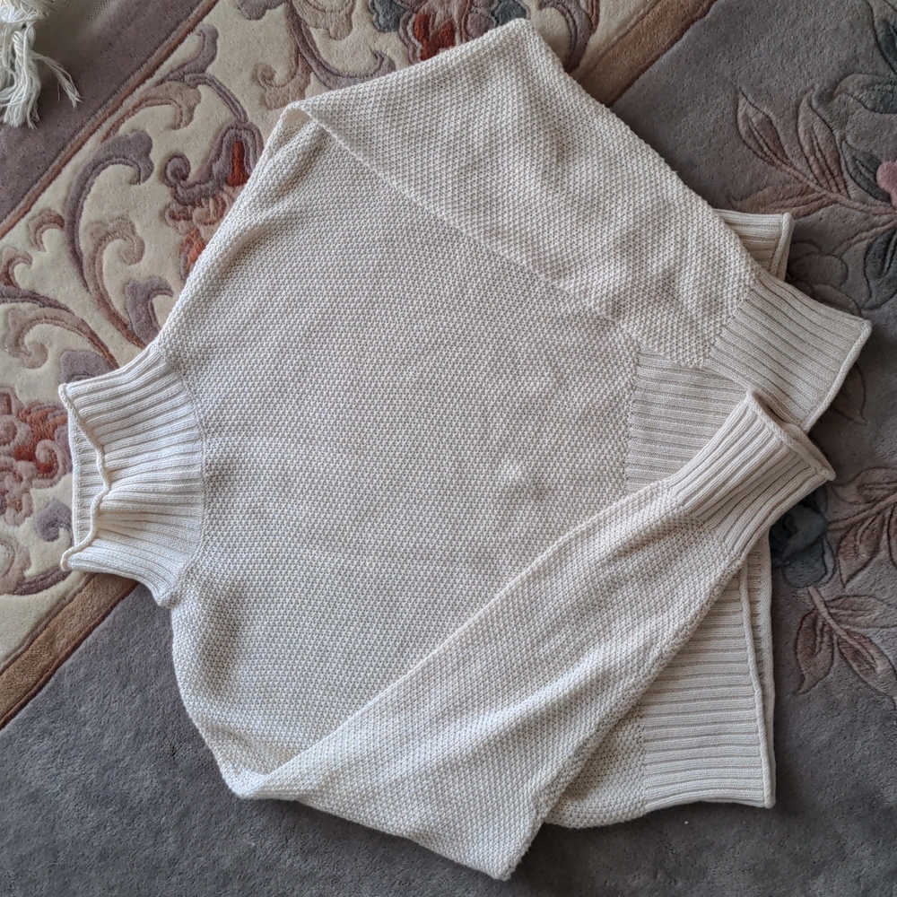 American Eagle Turtle Neck Sweater